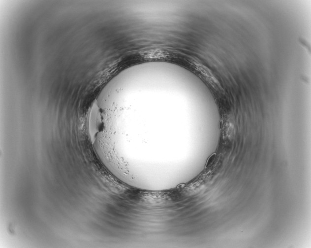 X0000093450521200711021116