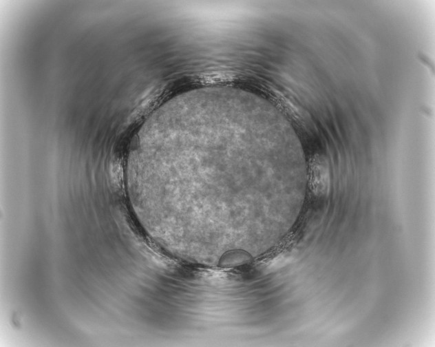 X0000093450523200711021116