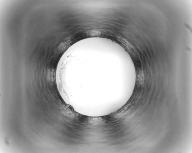 X0000093450525200711021116