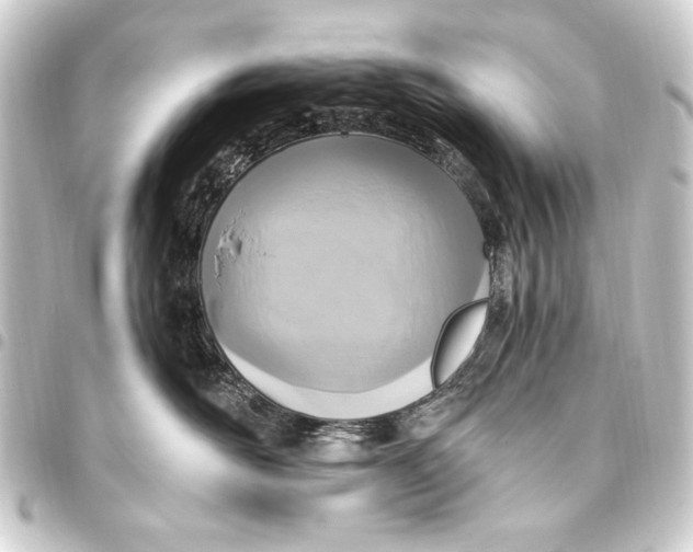 X0000093450526200711021116