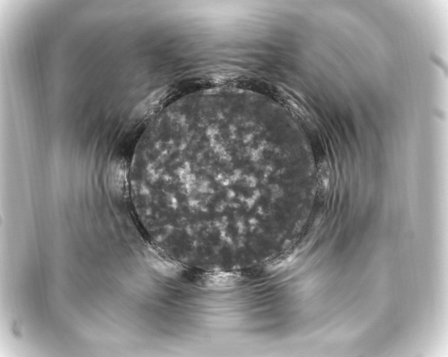 X0000093450527200711021116