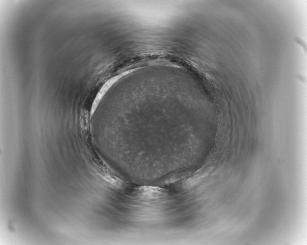 X0000093450528200711021116