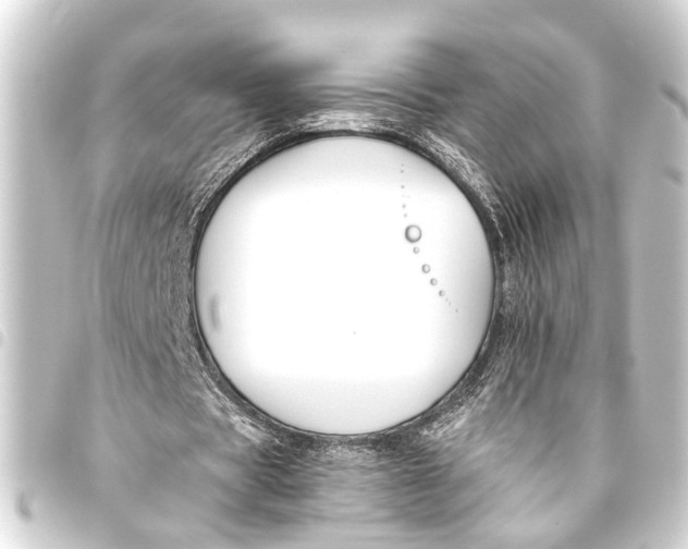 X0000093450529200711021116