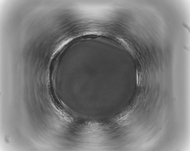 X0000093450531200711021116