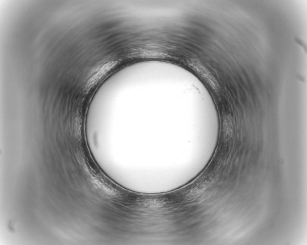 X0000093450533200711021116