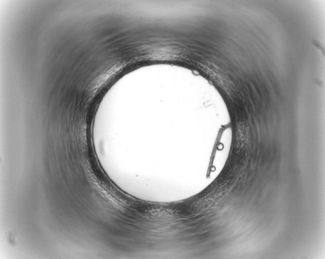 X0000093450535200711021116