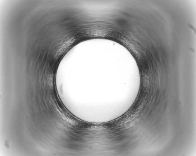 X0000093450537200711021116