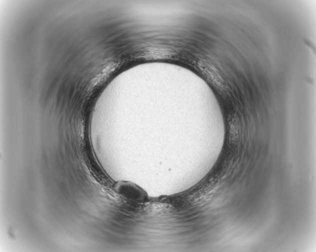 X0000093450539200711021116