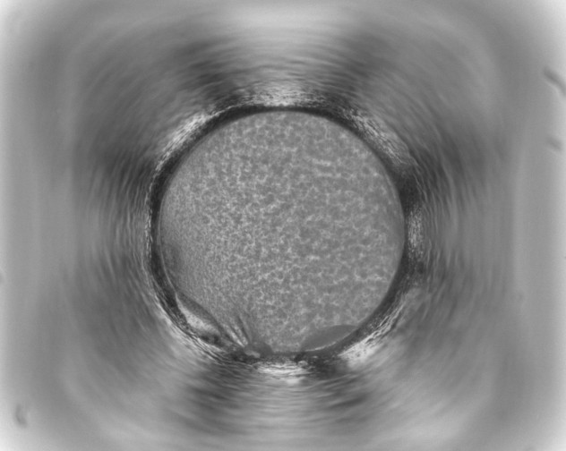 X0000093450540200711021116