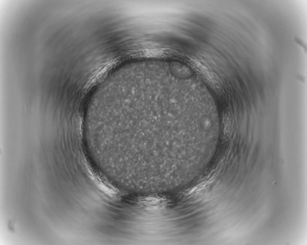 X0000093450542200711021116