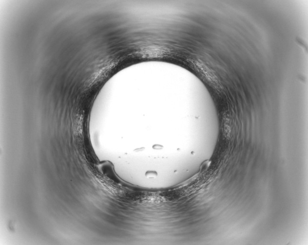 X0000093450543200711021116