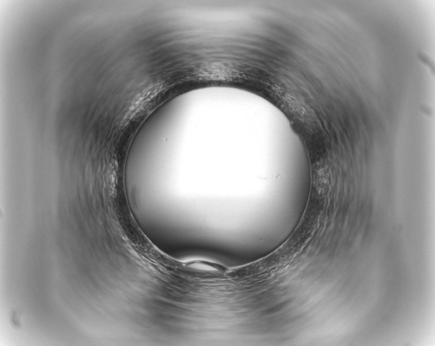 X0000093450544200711021116