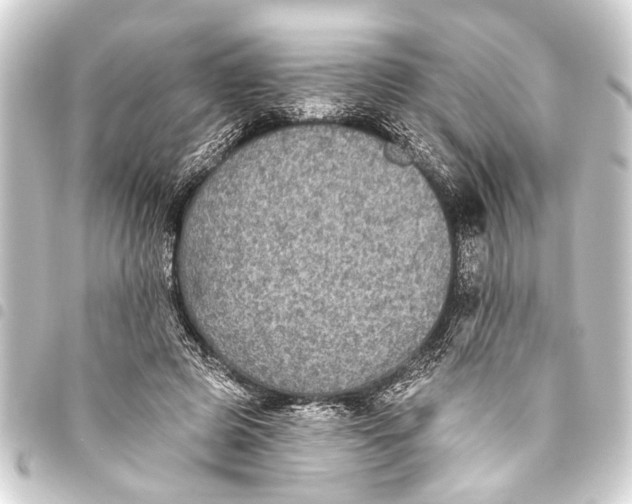 X0000093450545200711021116