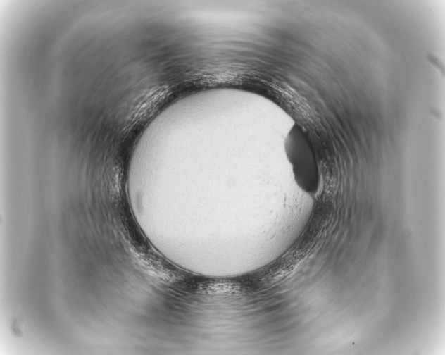 X0000093450546200711021116