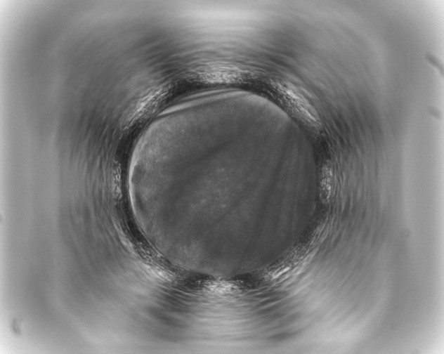 X0000093450547200711021116