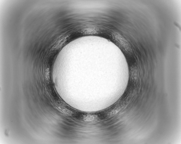 X0000093450549200711021116