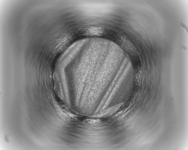 X0000093450552200711021116