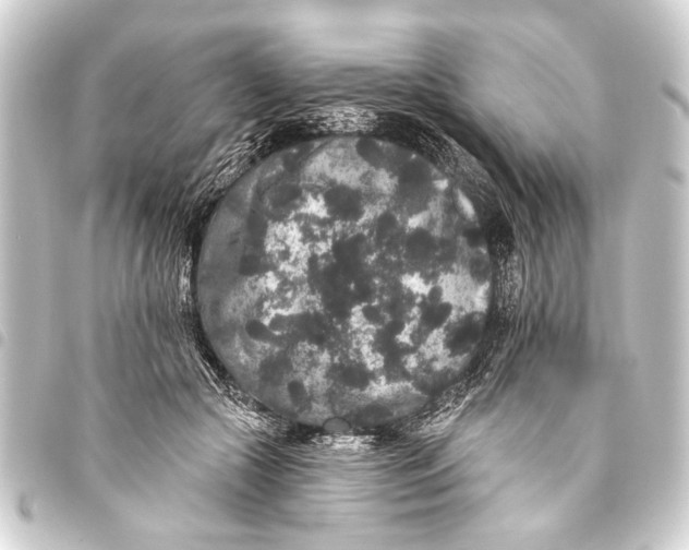 X0000093450553200711021116