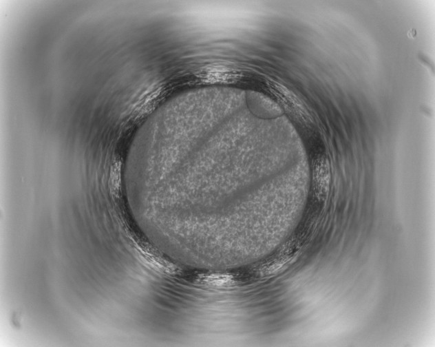 X0000093450554200711021116