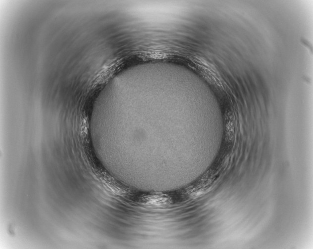 X0000093450555200711021116