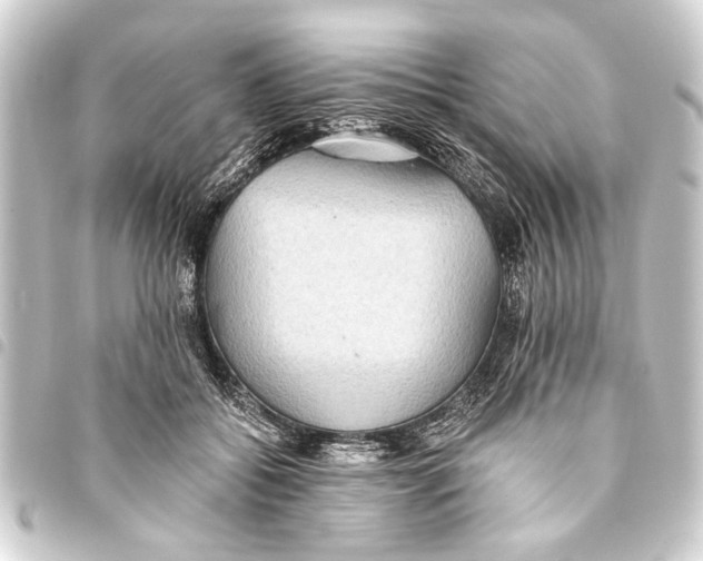 X0000093450556200711021116