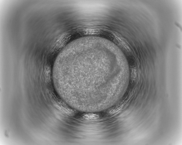 X0000093450557200711021116