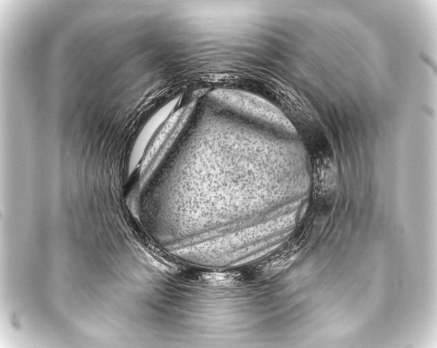 X0000093450558200711021116