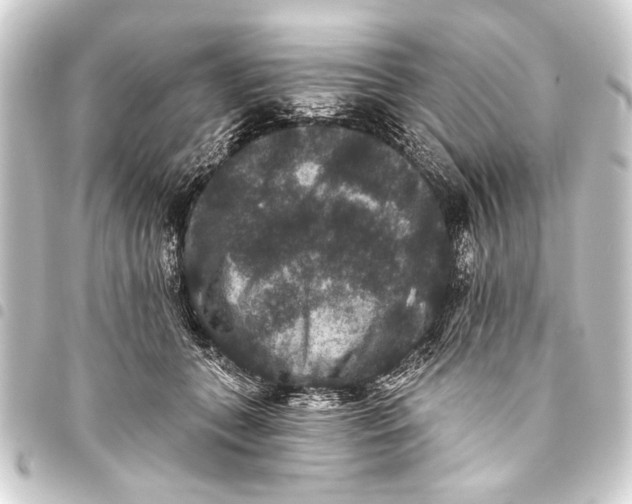 X0000093450559200711021116