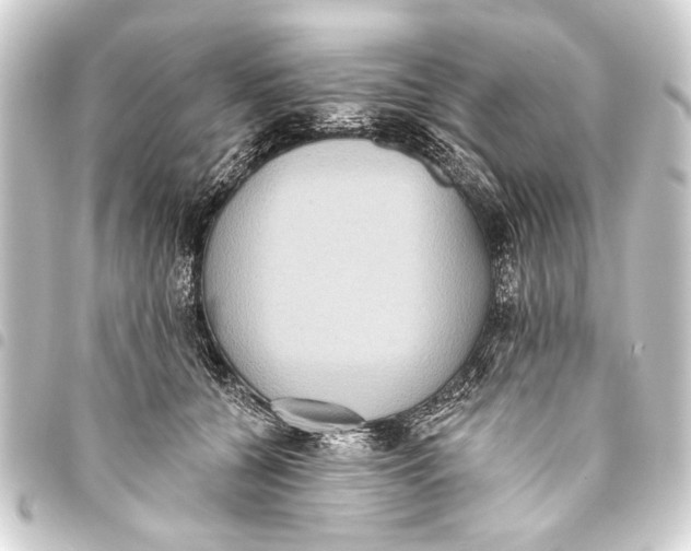 X0000093450560200711021116