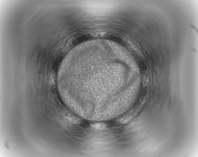 X0000093450561200711021116