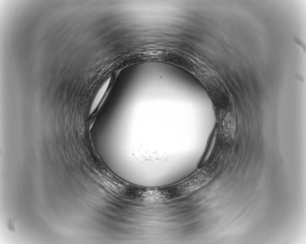 X0000093450562200711021116