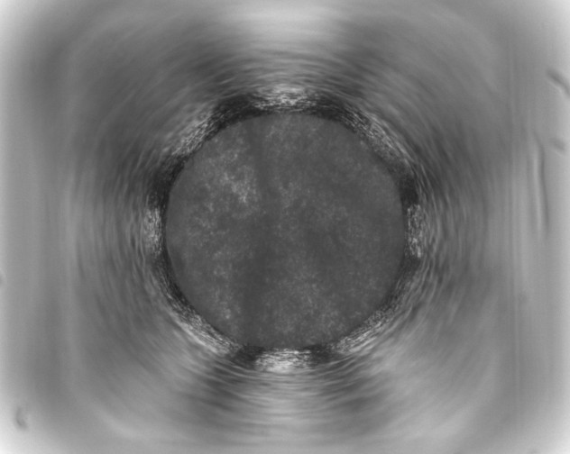 X0000093450563200711021116