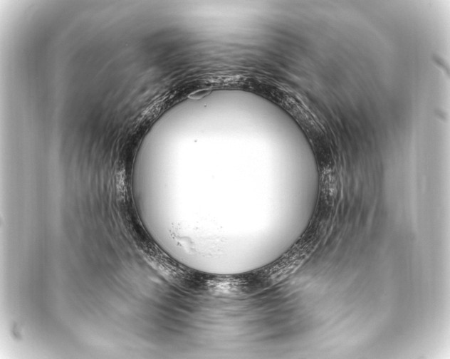 X0000093450564200711021116