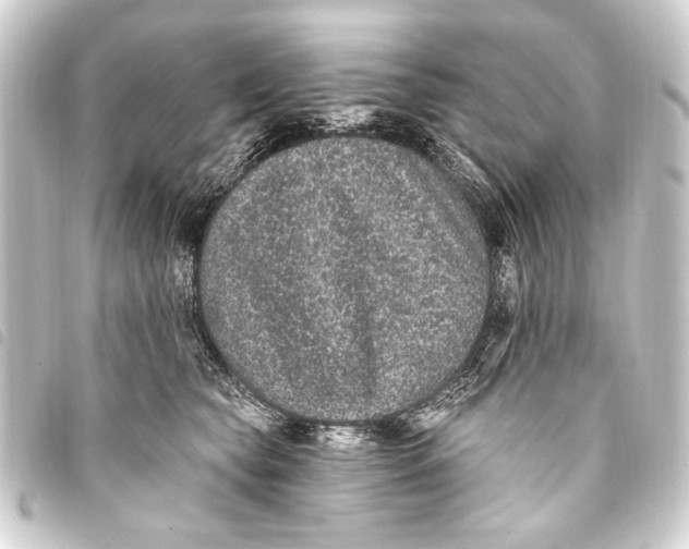 X0000093450565200711021116