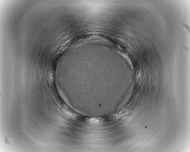 X0000093450566200711021116