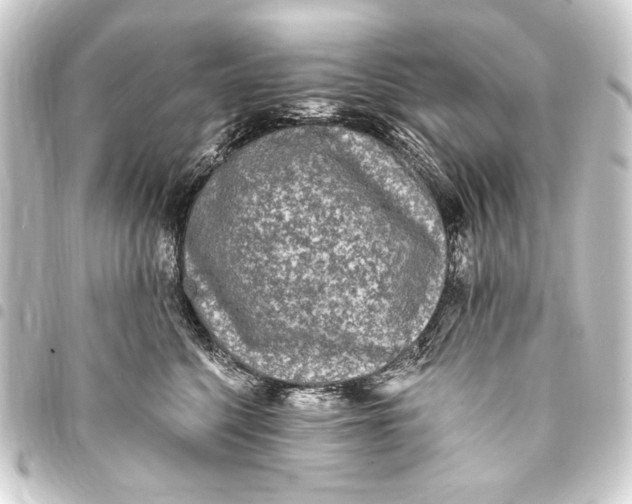 X0000093450568200711021116