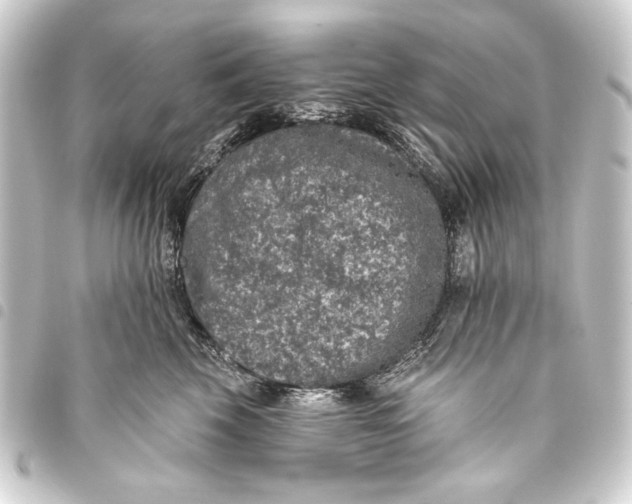 X0000093450569200711021116