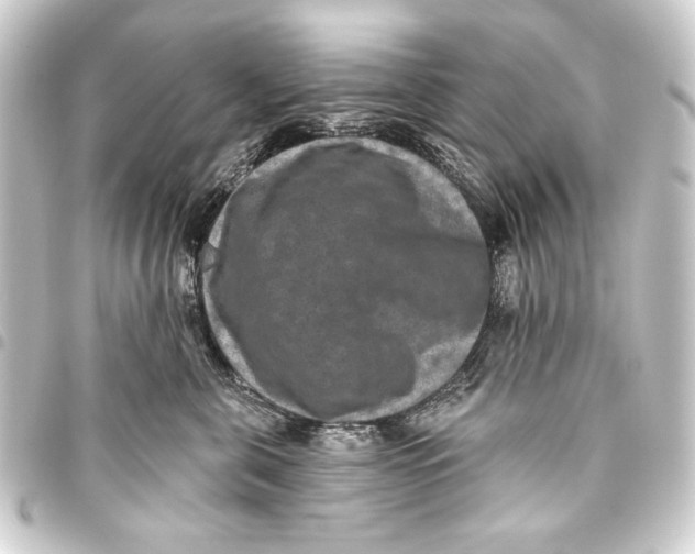 X0000093450571200711021116