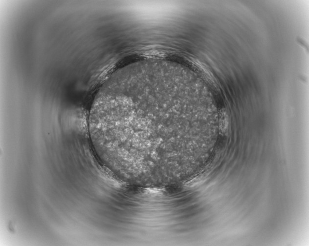 X0000093450573200711021116