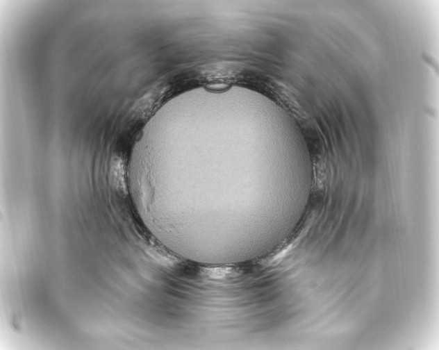 X0000093450575200711021116