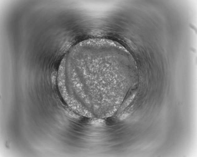 X0000093450576200711021116