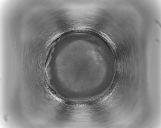 X0000093450577200711021116