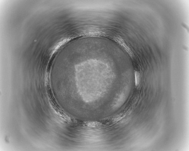 X0000093450579200711021116