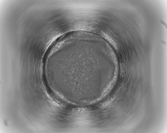 X0000093450580200711021116