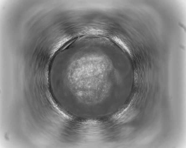 X0000093450581200711021116