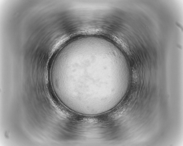 X0000093450582200711021116