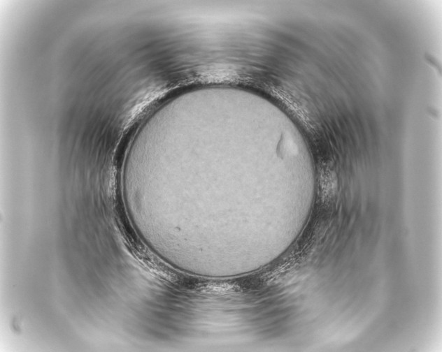 X0000093450583200711021116