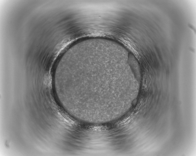 X0000093450584200711021116