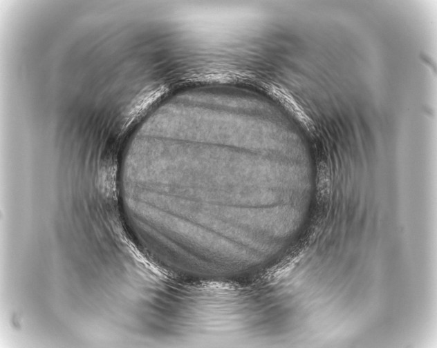 X0000093450585200711021116