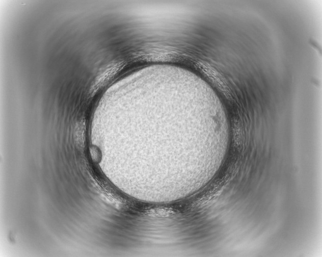 X0000093450586200711021116